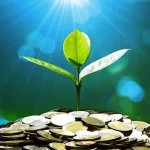 As your grows, so does the complexity of managing your finances.