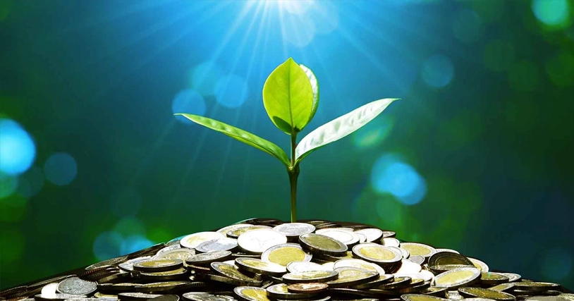 As your grows, so does the complexity of managing your finances.