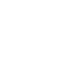 Bookkeeping & Accounting