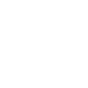 Financial Planning & Analysis (FP&A)