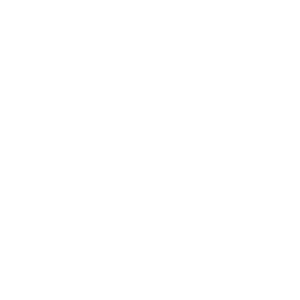 Client Advisory Services (CAS)